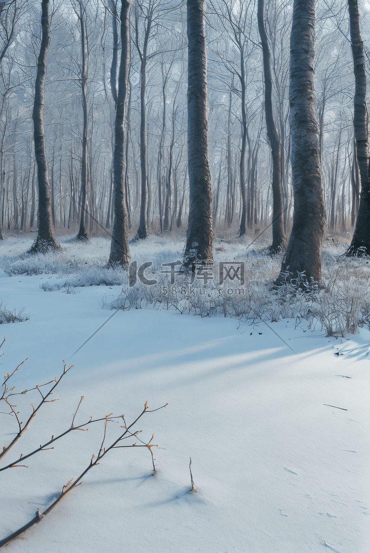 下雪天树林里的积雪图片6