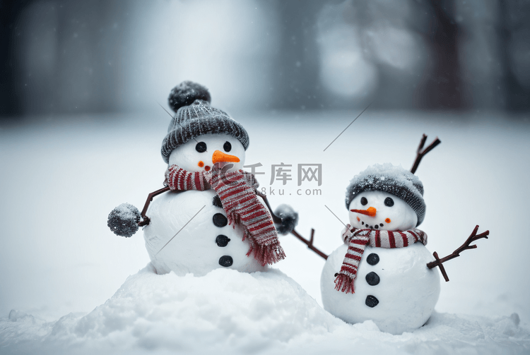 冬季雪地上的白色雪人图片9