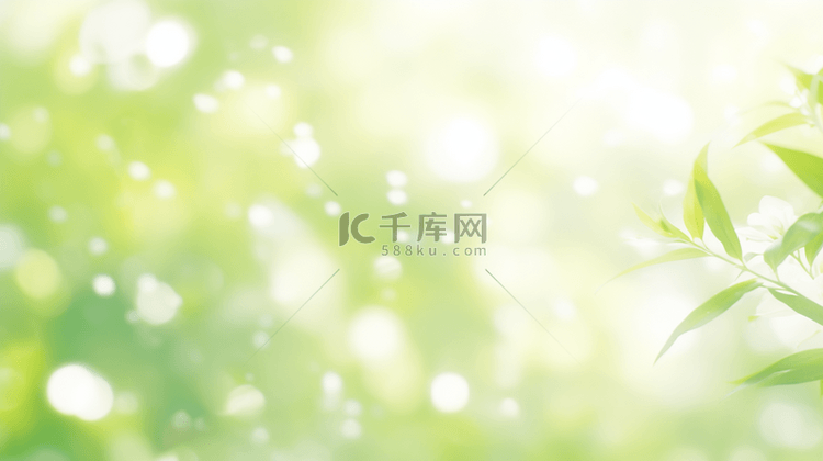 清新春季绿色枝叶光影背景背景图