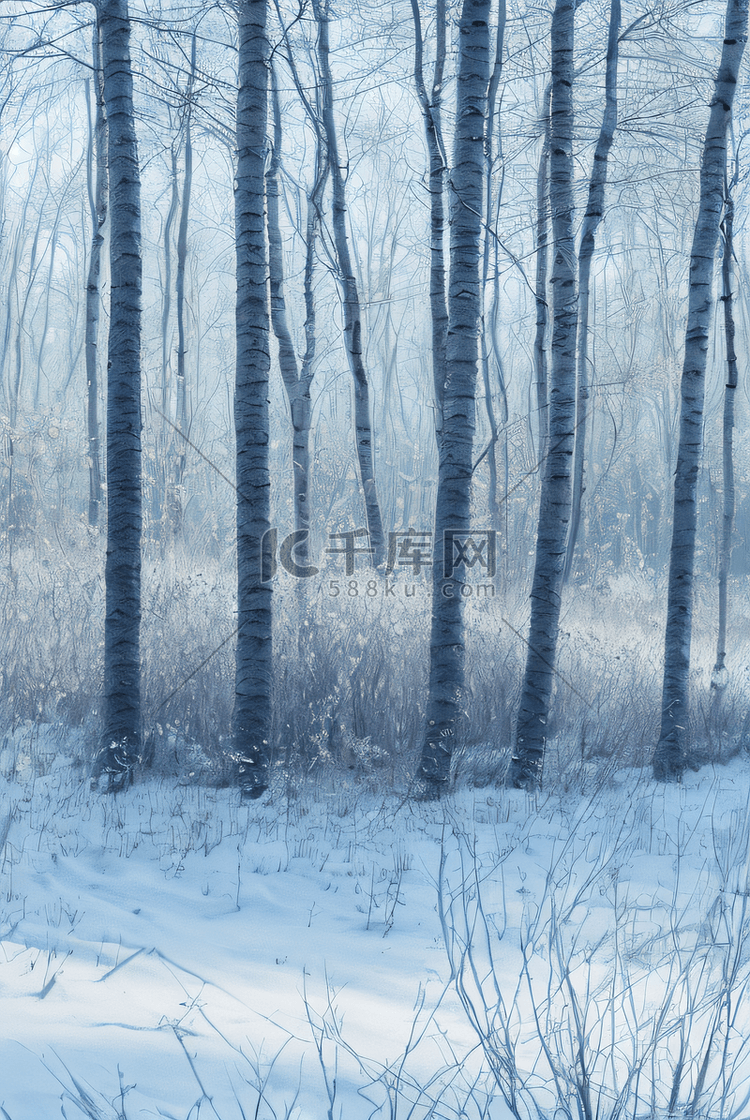 下雪天树林里的积雪图片7