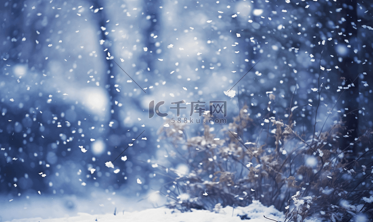 冬天鹅毛大雪下雪雪花摄影图10