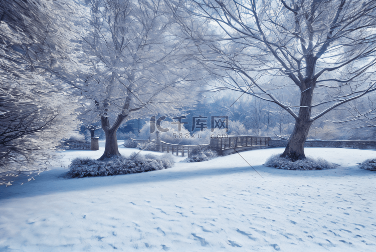 寒冷冬季户外积雪树木风景图70