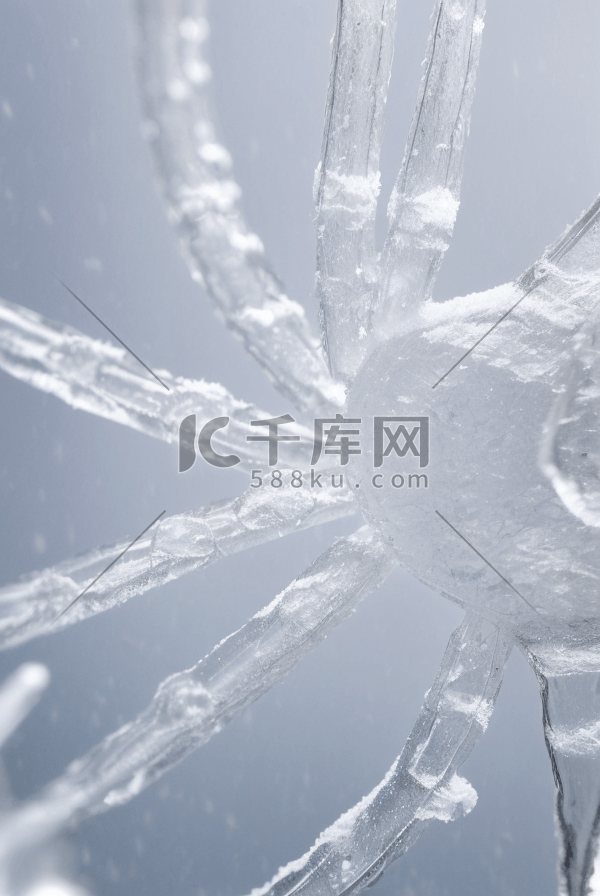 寒冷冬季结晶冰霜图7