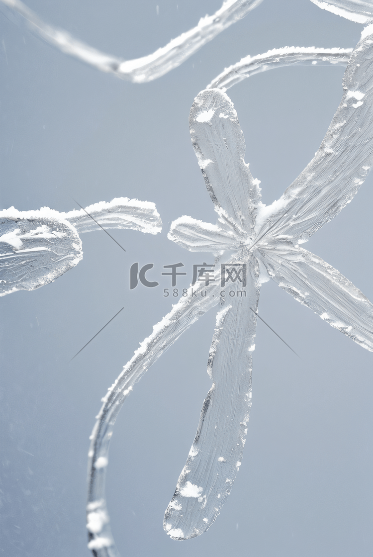 寒冷冬季结晶冰霜图167