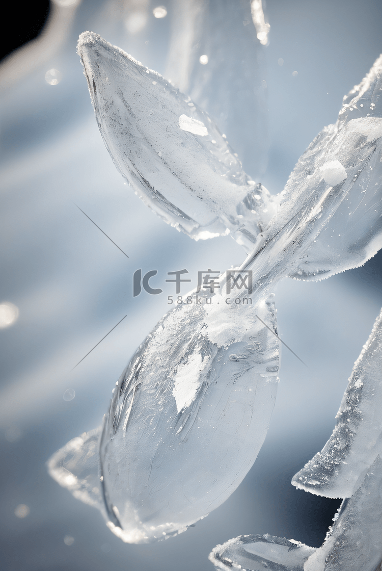 寒冷冬季结晶冰霜图284