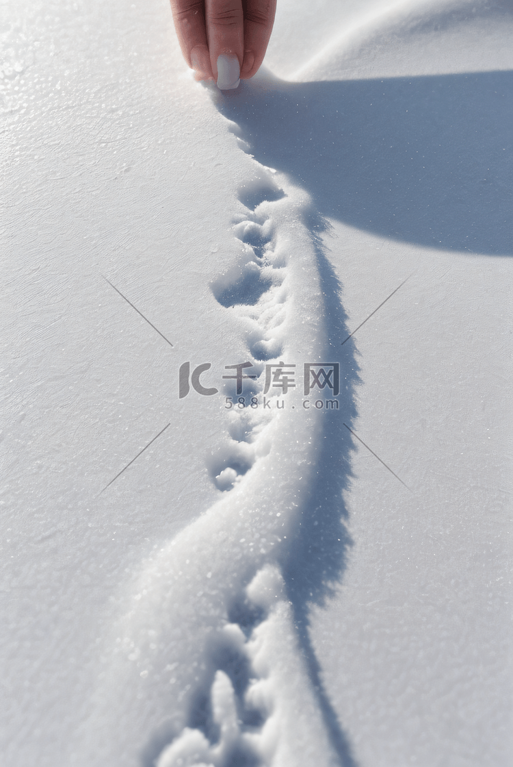 冬天厚厚的白色雪地图片2