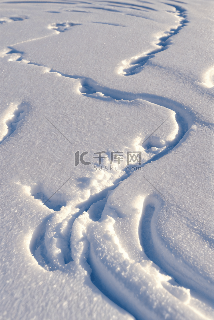 寒冷冬季白色雪景图片522