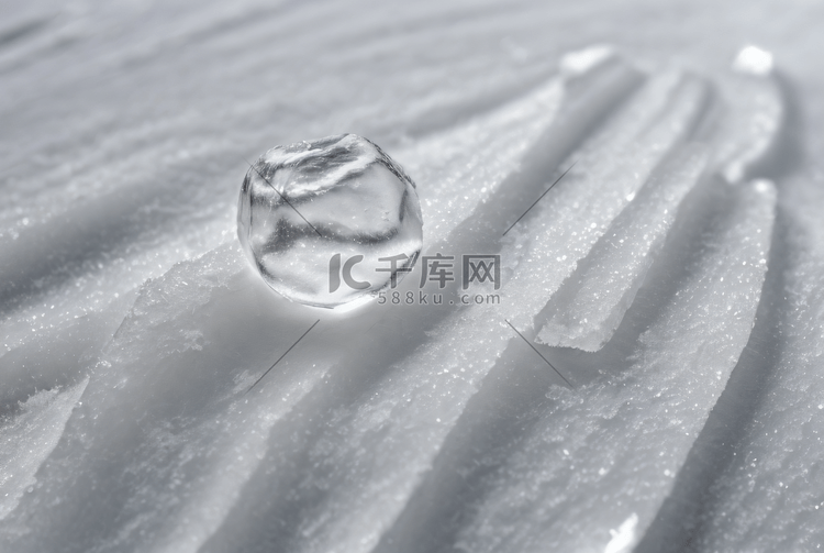 寒冷冬季结晶冰霜图517
