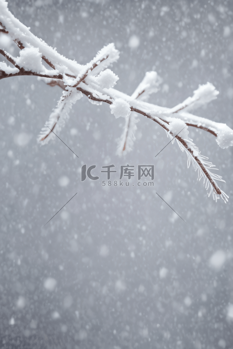 寒冷冬季树枝积雪图343高清图片