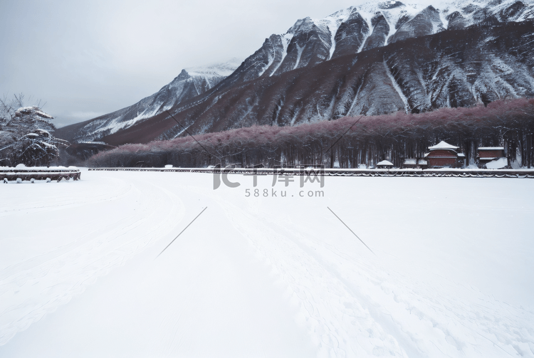 寒冷冬日高山山脉冰雪景观图片2