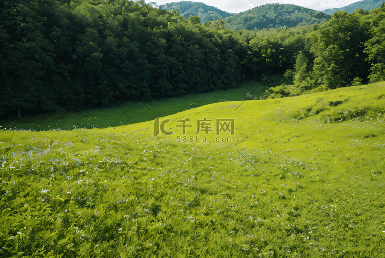 春季户外蓝天白云草坪摄影图3