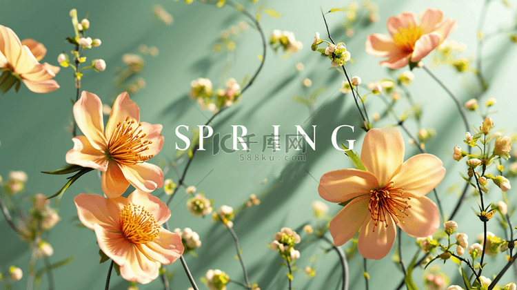 春天文字SPRING和花朵背景