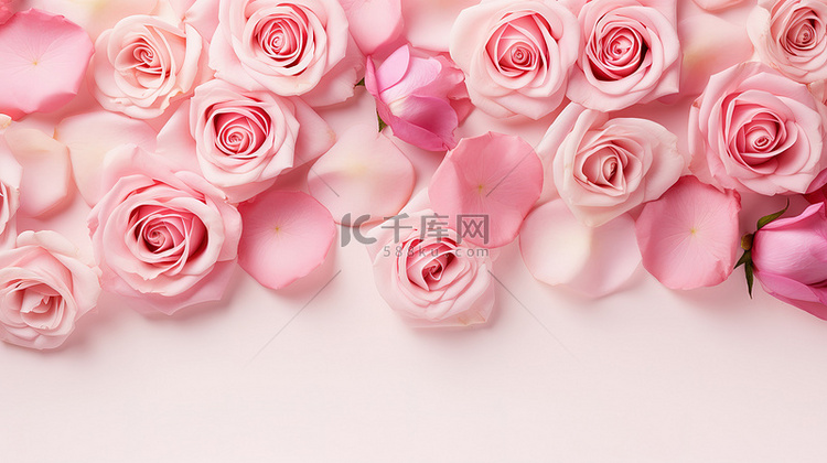 粉色玫瑰花瓣平铺素材