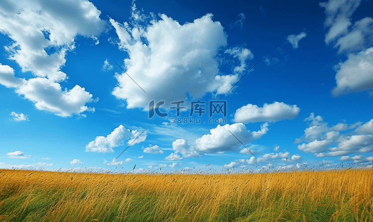 自然风景草地蓝天白云