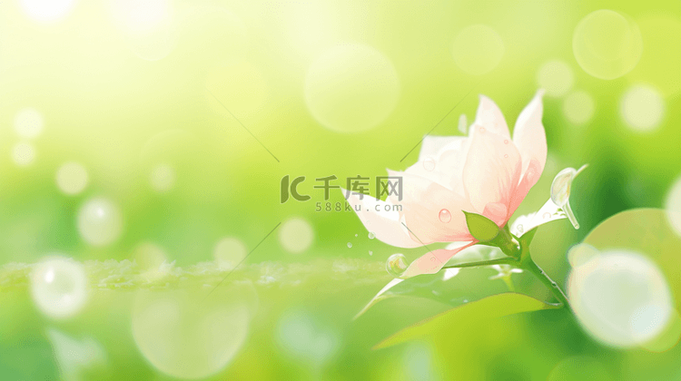 草地盛开粉色花朵清新背景10