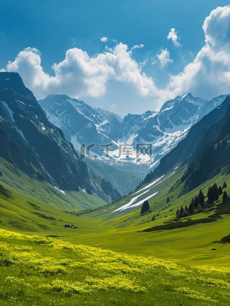 阿尔卑斯山鲜绿色的草地和白雪皑