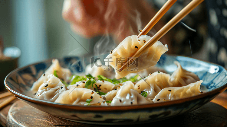 美味的煎饺特写摄影26