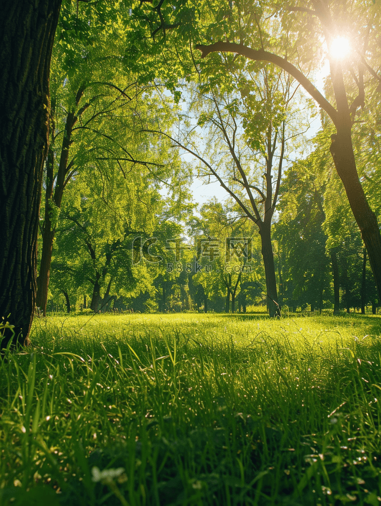 阳光灿烂的日子中夏公园