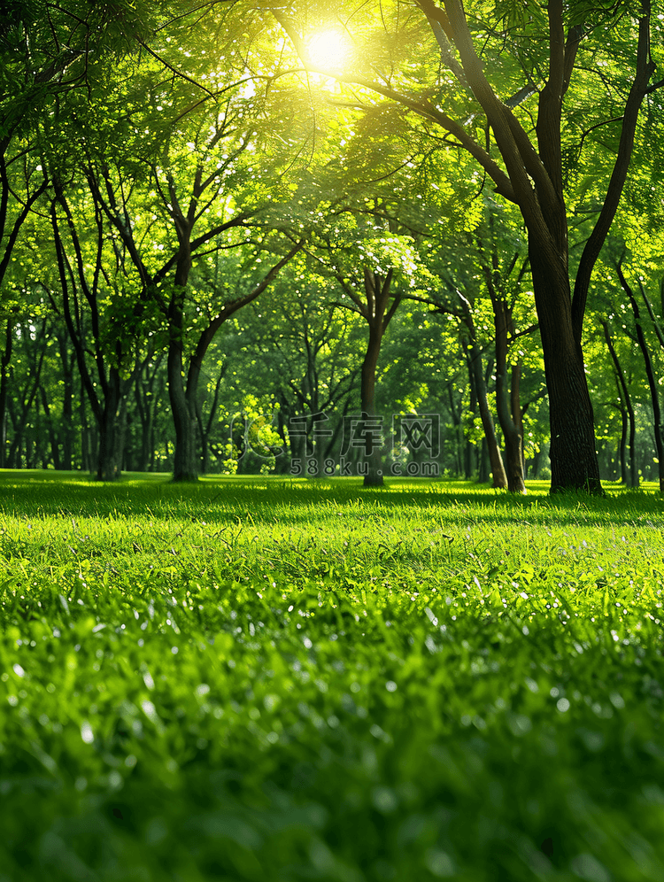 自然风景草地草坪树木环境春天立