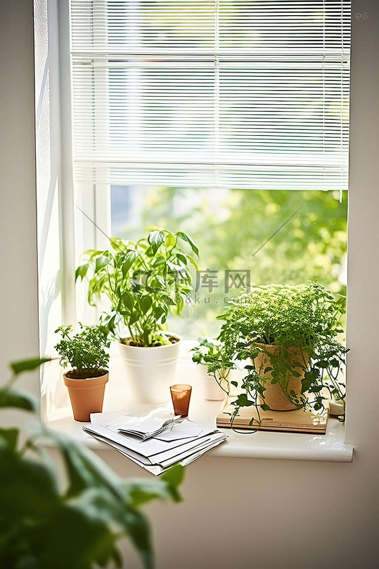 白色窗台上种有多种植物的客厅