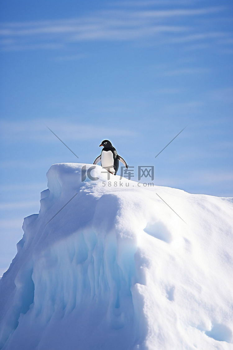 企鹅站在雪原上