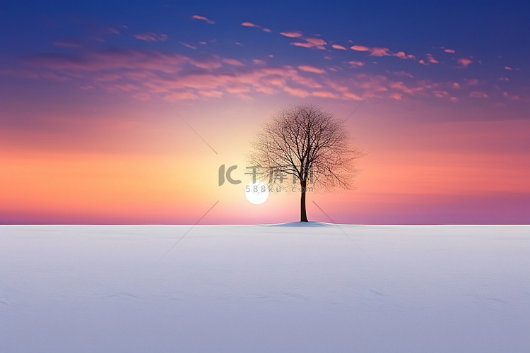 一棵孤独的树矗立在田野中央的雪