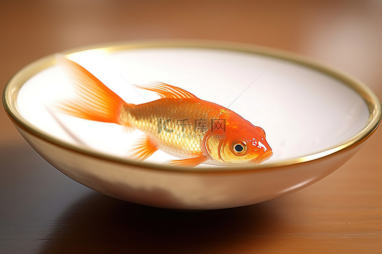 漂浮在碗中的橙色鱼