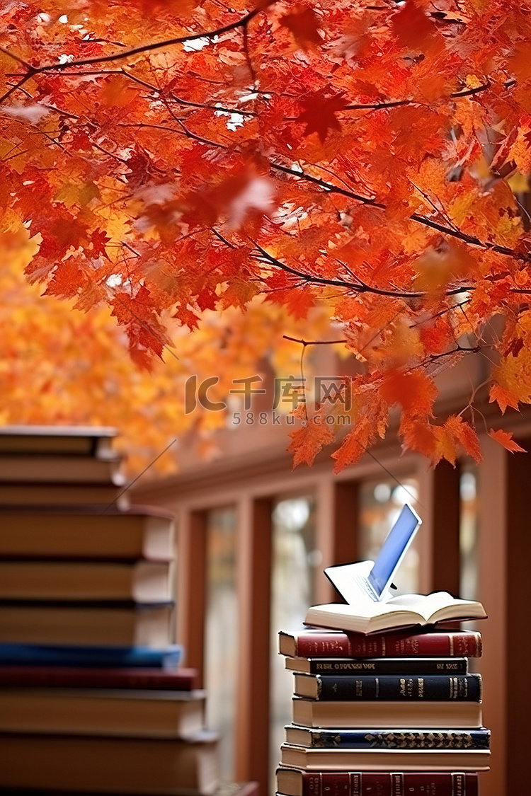 秋天的图书馆和书籍看起来都一样