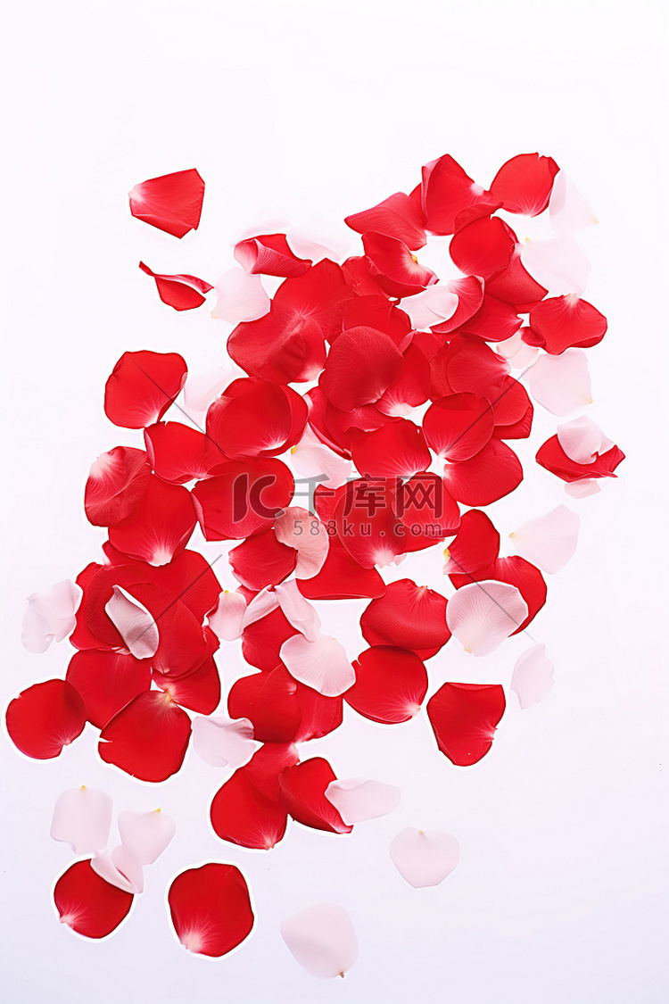 红色玫瑰花瓣散落在白色表面