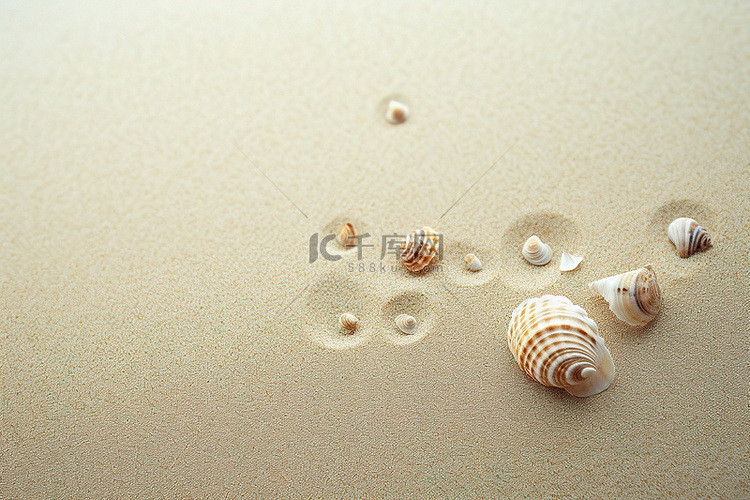 沙滩上的贝壳和海水