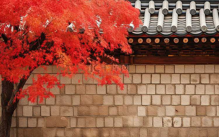 韩国传统建筑，顶部附近有红叶