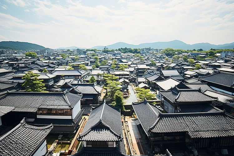 日本一座城市的鸟瞰图