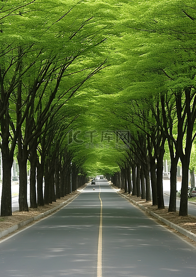 一条街道，一侧树木茂盛，另一侧