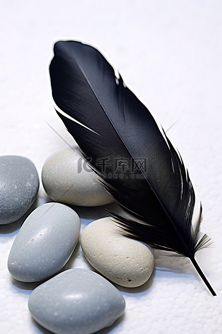 白色的石头上有一根黑色的羽毛