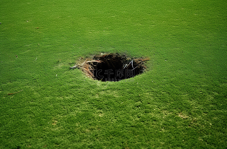 绿色的草地上有一个洞