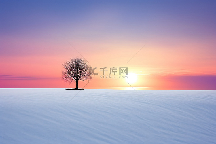 一棵孤独的树坐落在雪覆盖的地面