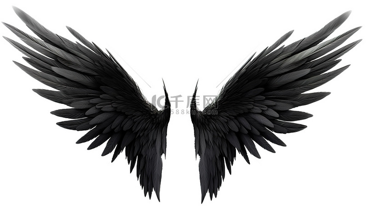 白色背景中的黑色羽毛状恶魔翅膀