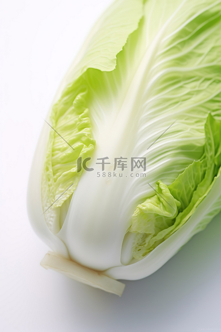 泡菜菜丰宁海仙莲