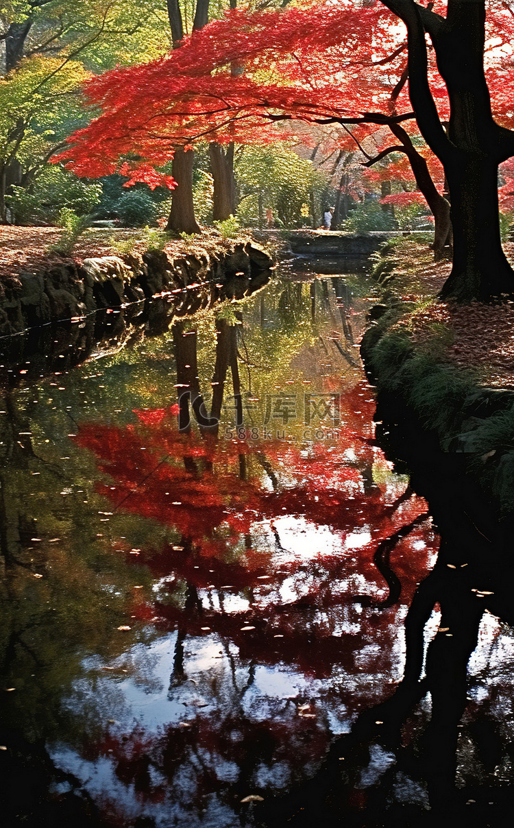 溪水倒映着红叶