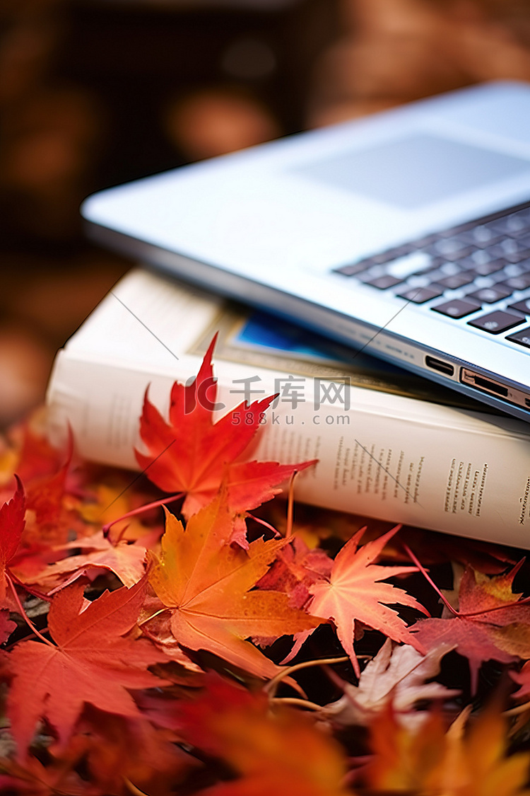 秋天的树叶在笔记本电脑的顶部