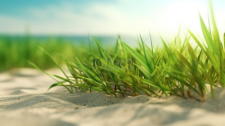 背景为郁郁葱葱的绿草的沙滩的 