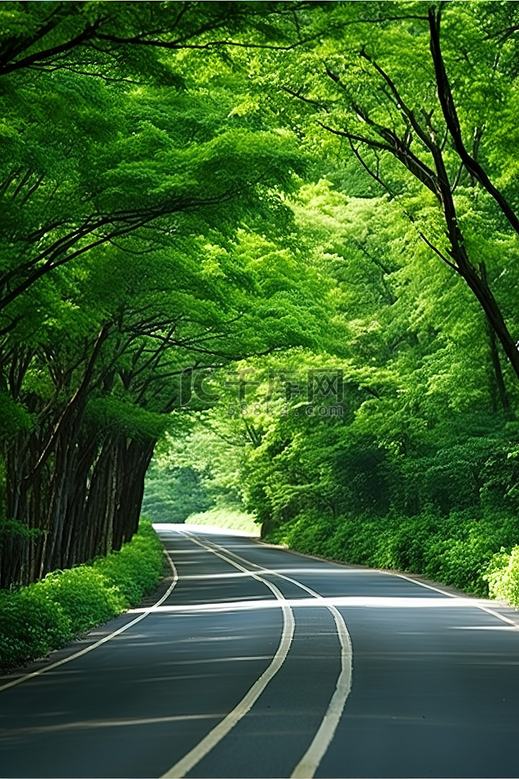 一条绿色的乡间小路，绿叶