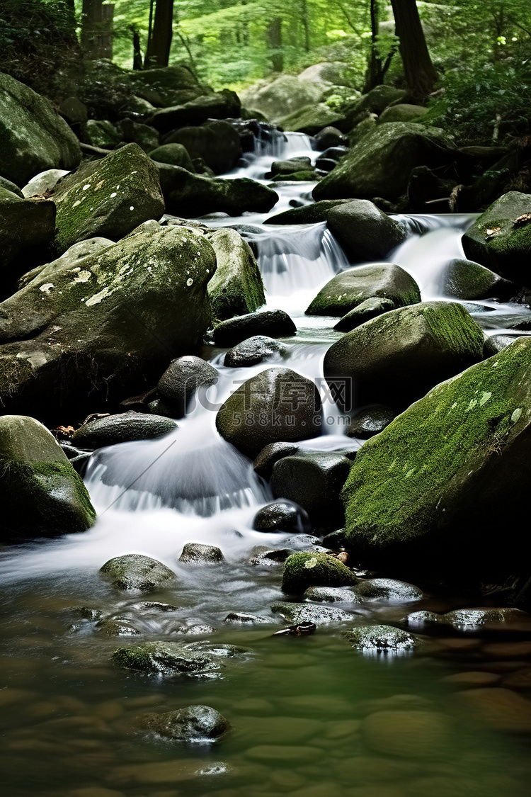 水流穿过岩石流入森林中的溪流