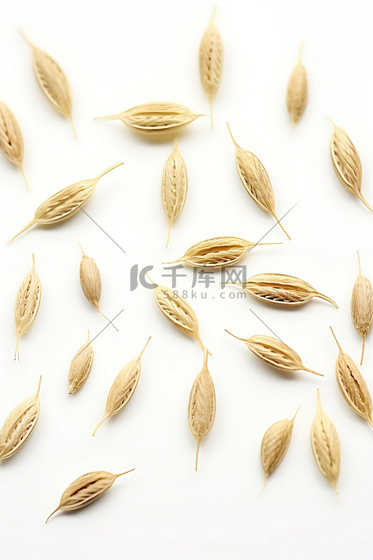 白色表面上的小小麦种子