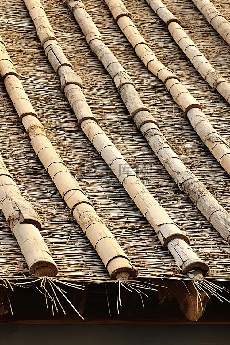 旧世界村照片中的旧木瓦屋顶和藤