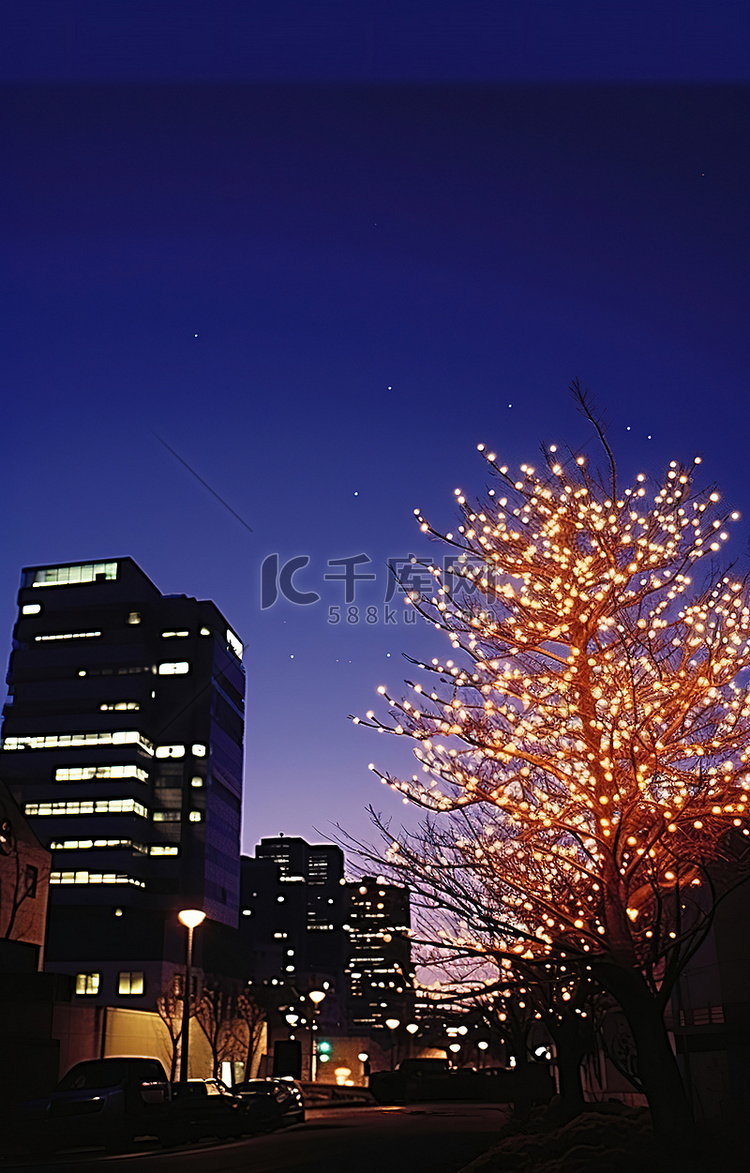 夜间点亮的树和背景中的建筑物