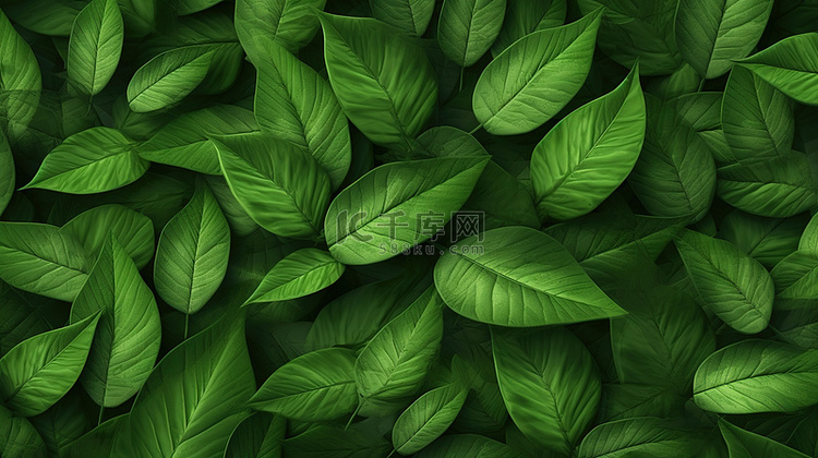 郁郁葱葱的绿叶背景的 3D 渲染