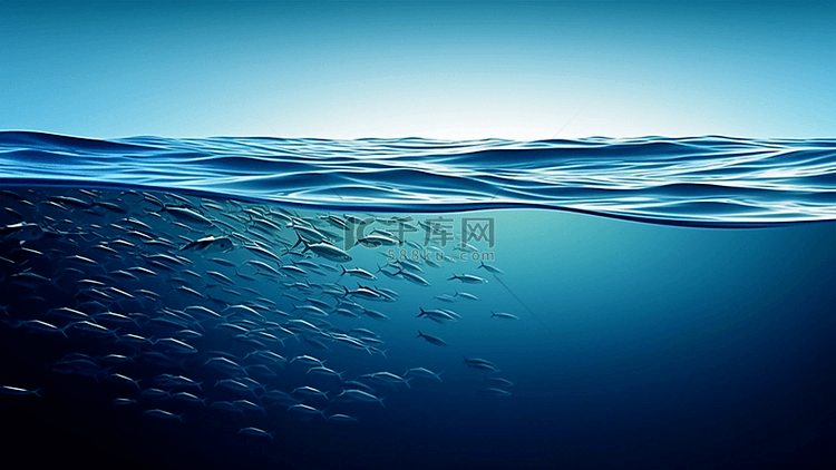 海洋日海水鱼群背景