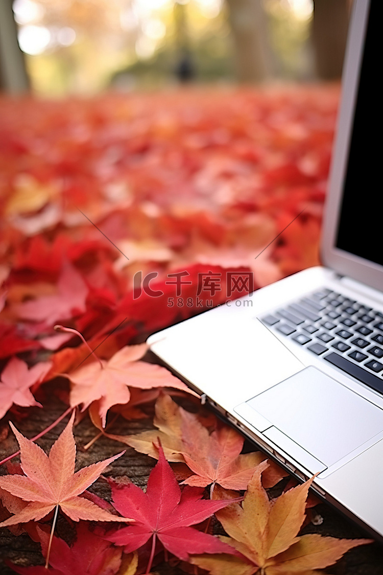 日本秋季的秋叶和笔记本电脑上的