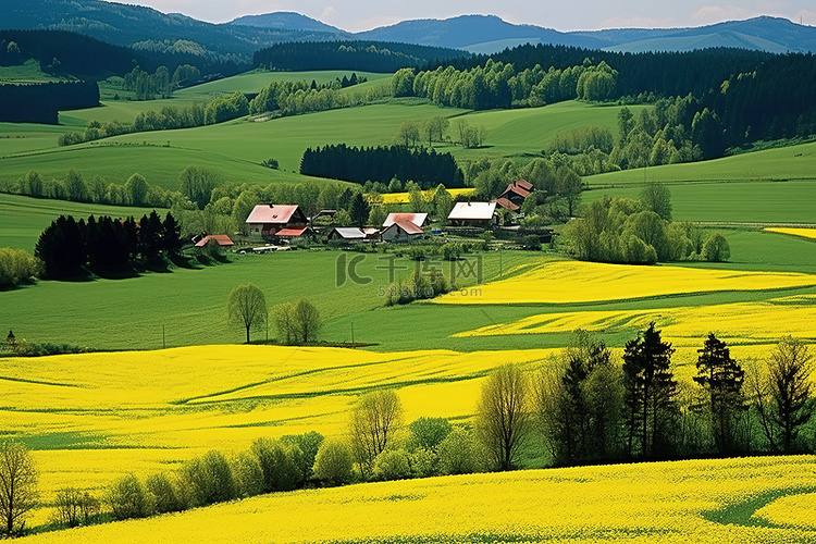 斯洛伐克高地的春天